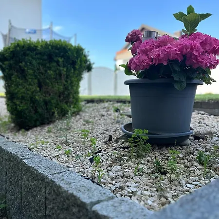Szálloda Paradiso